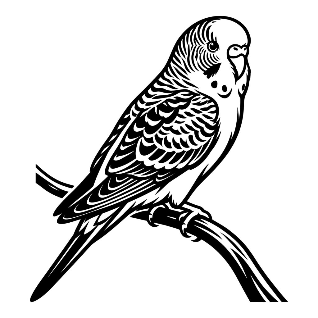 Cute Budgie Parakeet on Branch SVG - Black Bird Vector for Pet Mugs and Shirts