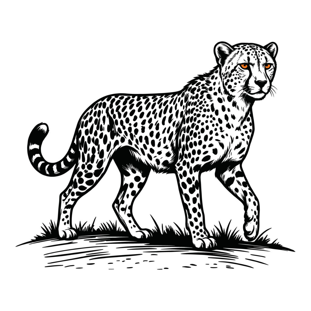 Walking Cheetah SVG Vector - Leopard Silhouette for Tote Bags and T-Shirts