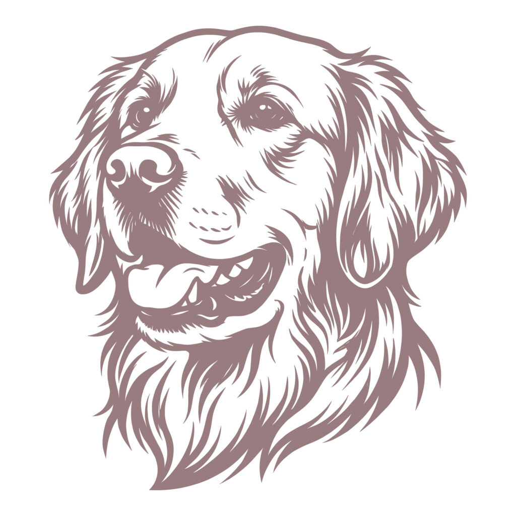Detailed Golden Retriever Face Vector - Realistic Dog Head SVG for Laser Engraving and Cricut Vinyl Cutting
