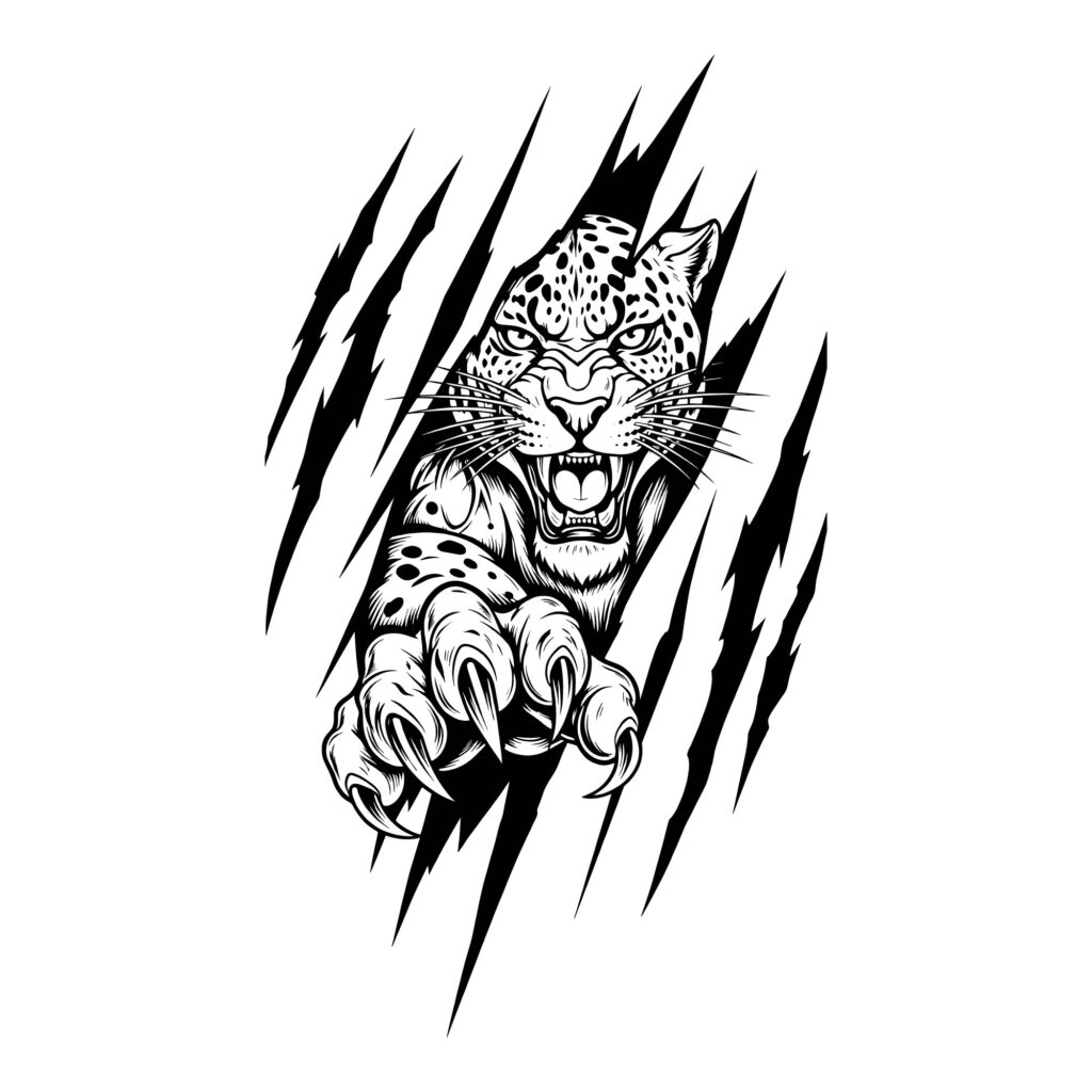 fierce roaring leopard breaking through a surface with sharp claws in black and white vector format suitable for crafters and designers.