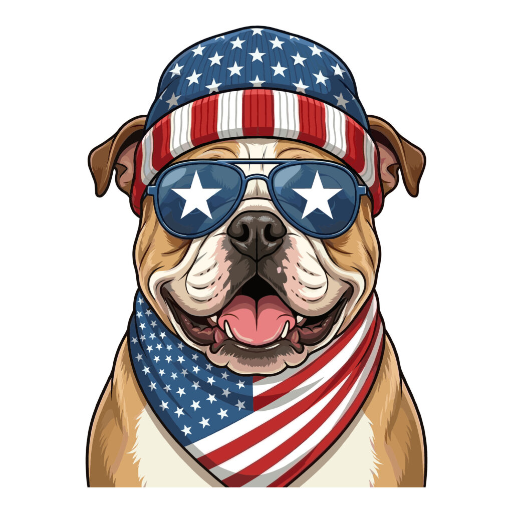 Detailed illustration of an American Bulldog wearing a USA flag beanie star shaped sunglasses and a red white and blue bandana
