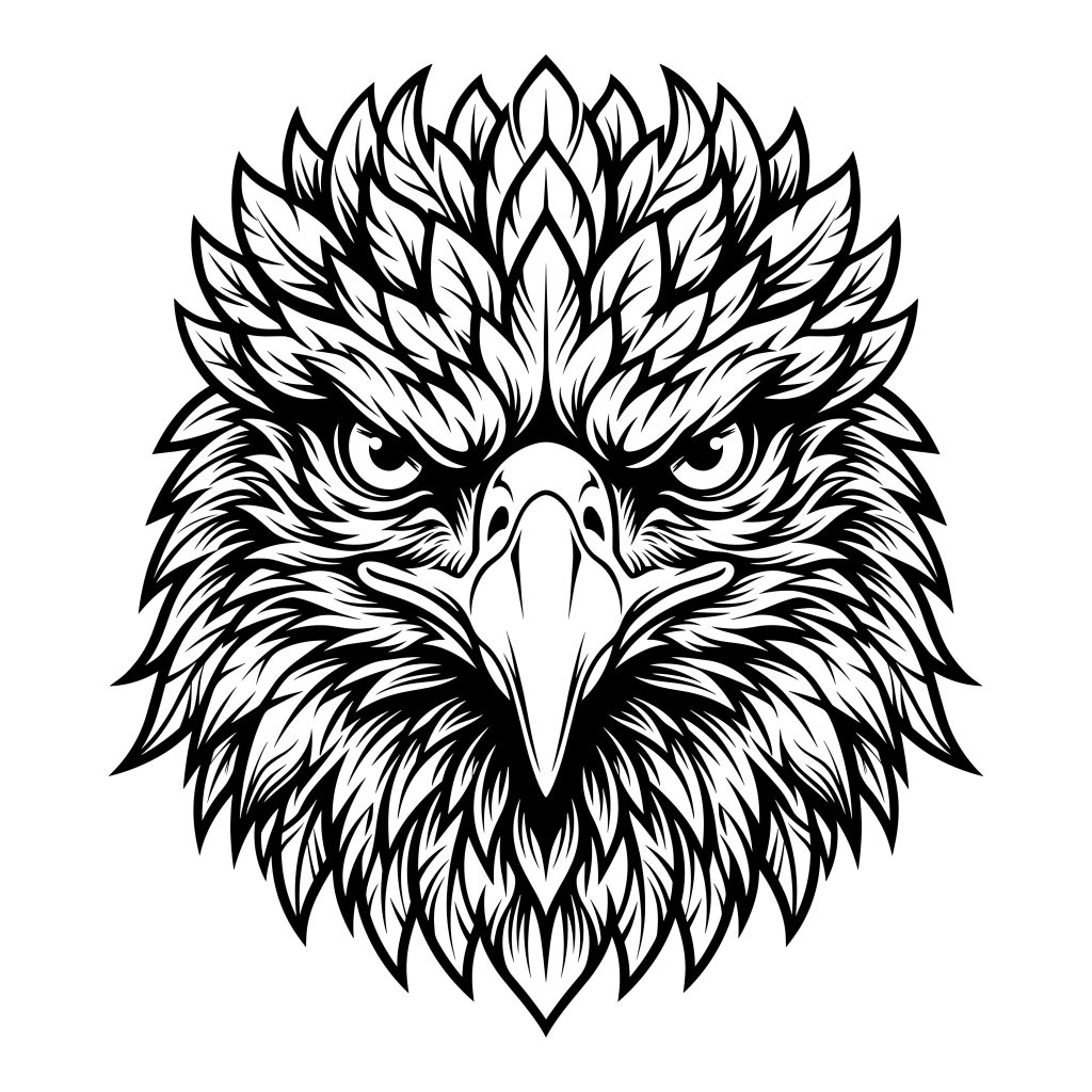 Highly detailed black and white line art vector illustration of a fierce bald eagle head.