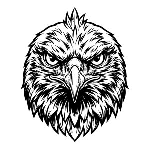 Highly detailed black and white vector line art of a majestic bald eagle head looking directly forward.